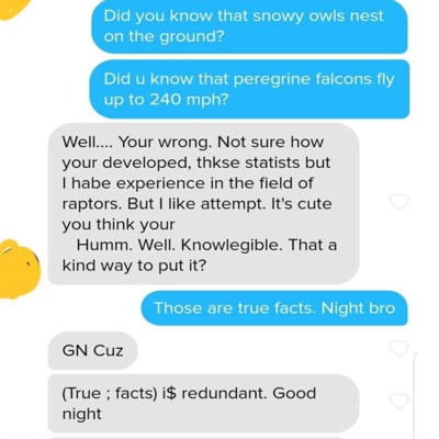 I habe experience in the field of raptors - Single