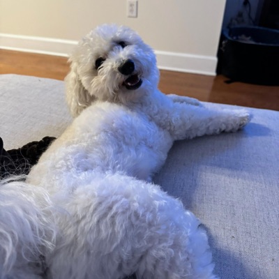 outsideeee (feat. iloveit! & Derrickulous) - Single