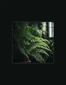 Poslechněte si interpreta Fleeting Shadows, sledujte hudební videa, přečtěte si životopis, podívejte se na data turné a další informace.