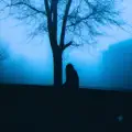 buried in the quiet