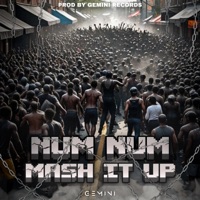 Mash It Up (feat. Num Num) - Single - GEMINI RECORDS