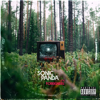 Sonic Panda - Foreigners portada