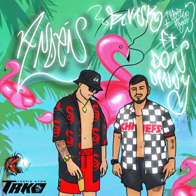 ANDÉN (feat. DONDANNY) [TERRIE KYND Remix] - Single
