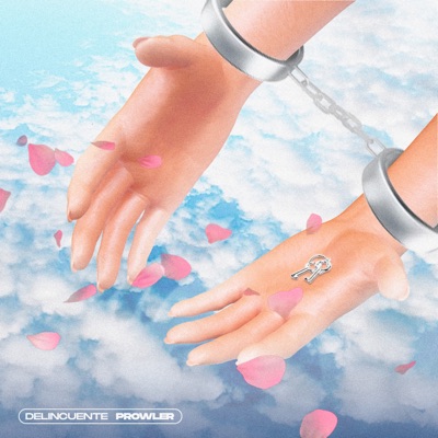 Delincuente - Single