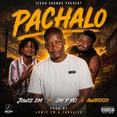 Pachalo (feat. Jay p yei & Awardizo) - Single