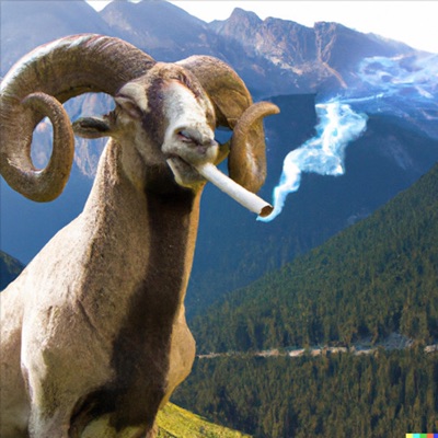 Mufflon Freestyle (feat. MC Xaver, Lil Kopyto & Young Aalfisch) - Single