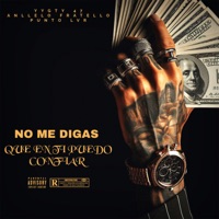 No Me Digas Que en Ti Puedo Confiar - Single - Anllelo Fratello, YyGty47 & Punto lvr