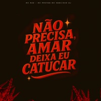 Não Precisa Amar, Deixa Eu Catucar (feat. DJ Tezinho) - Single - MC R23, Mc Prates & Mc Neguinho Sj
