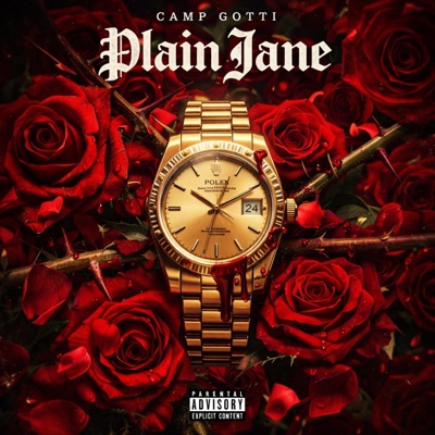Plain Jane - Single