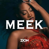 Meek (feat. Beatzbyeno) - Single - Zion Beatz