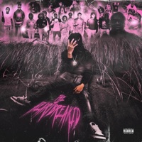 The Heartbreakid - BabyJae