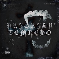 PRIORITYTEMNEHO - Single - waderrhabemuss