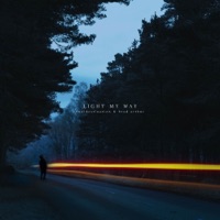 light my way (SouMix Remix) - Single - finaldest!nation & Brad Arthur