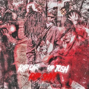 Rip shxt (feat. Rip.Josh)