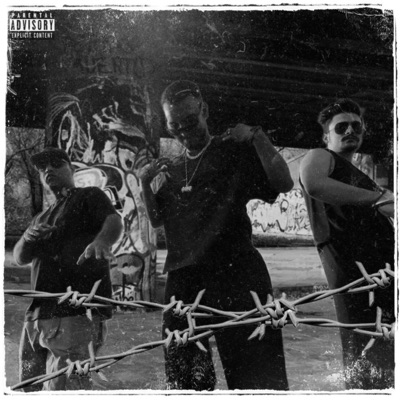 Voice Of Streetz (feat. Young Shanu & Lucky Bhau) - Single