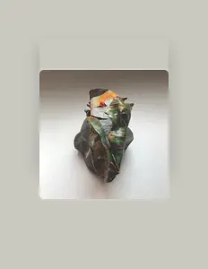 Polygoniaを聴いたり、ミュージックビデオを鑑賞したり、経歴やツアー日程などを確認したりしましょう！