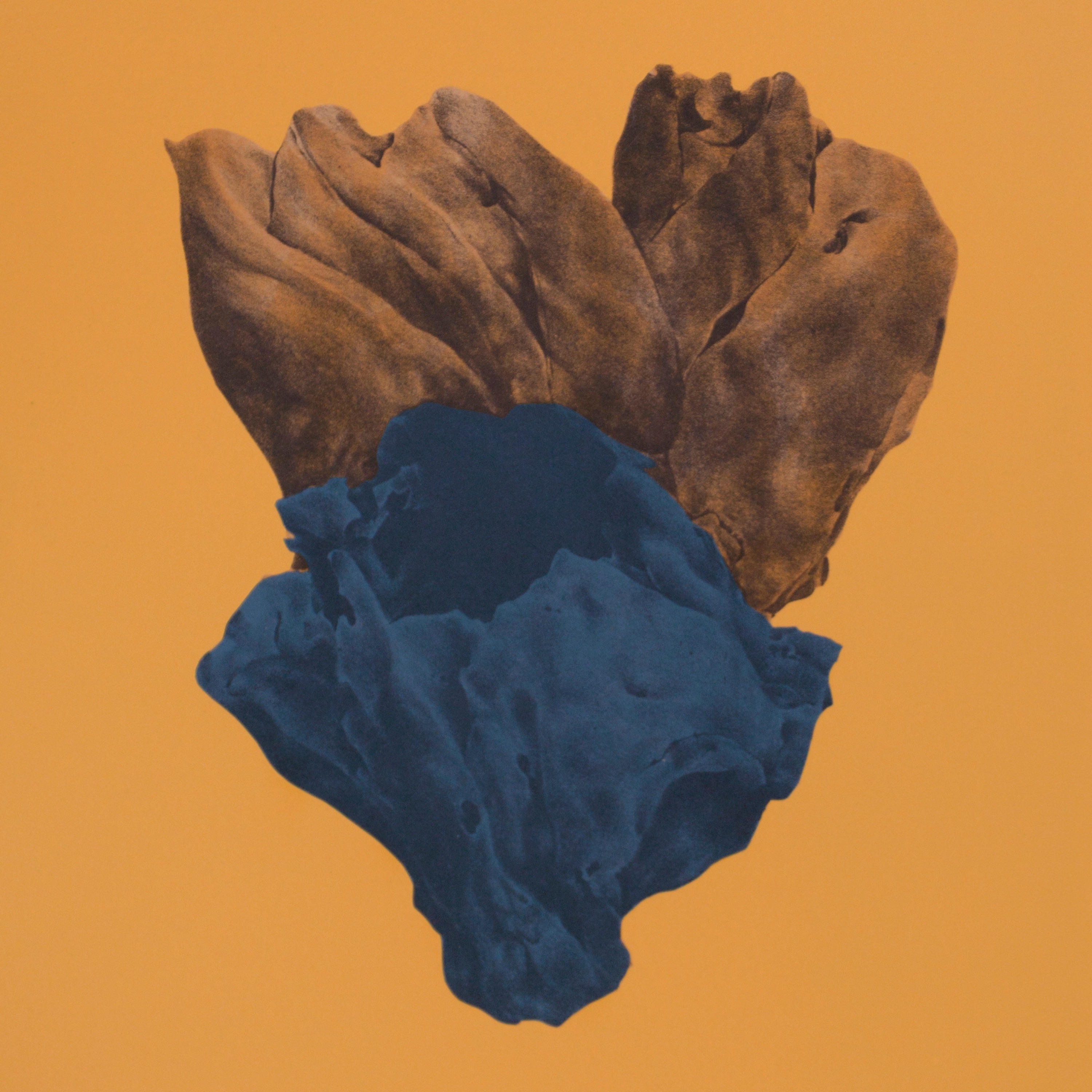 La terrible beauté du monde