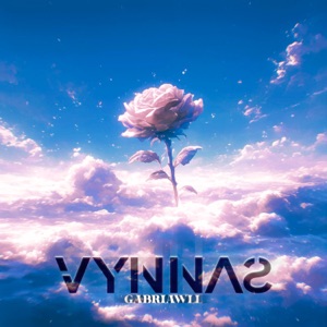 VYNNAS - Sped Up