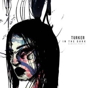 In the Dark (Remixes Part 2) - Single