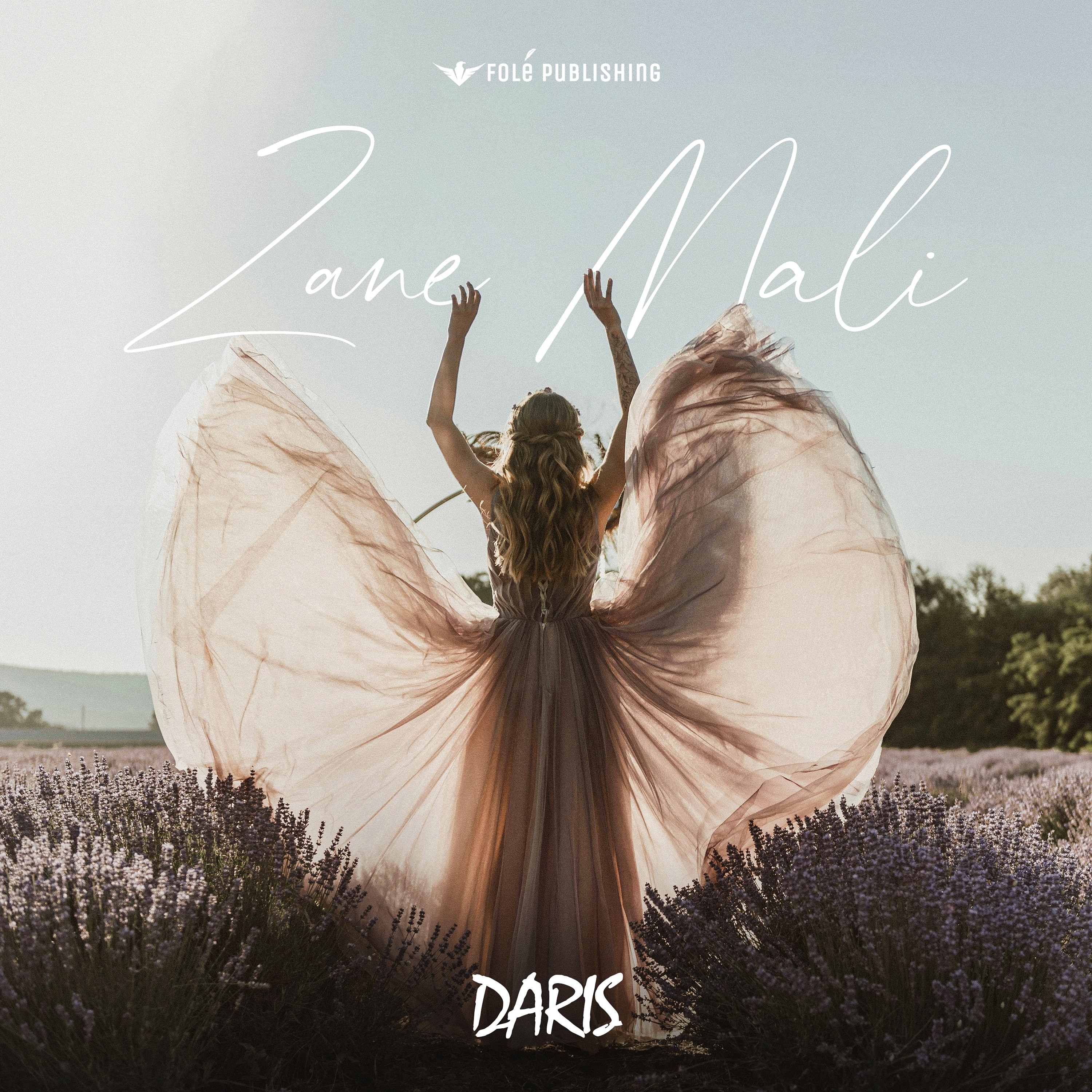 Daris - Zane Mali K4 - Single