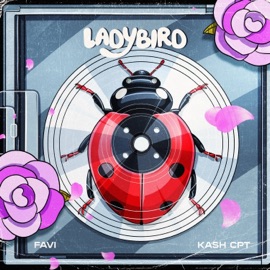 Lady Bird (feat. Kashcpt) Favi