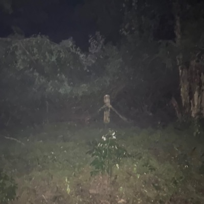 if buts and maybes - Single