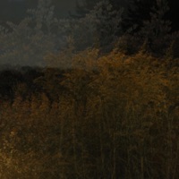 timelapse (feat. epitomeoffailure) - Single - HEARTLESS