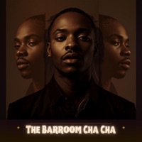 The Barroom Cha Cha - Single - DJTEXX