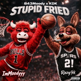 Stupid Fried (feat. KDK) 843Moody