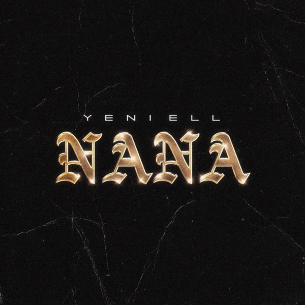 NaNa - Single