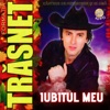 Iubitul meu - Single