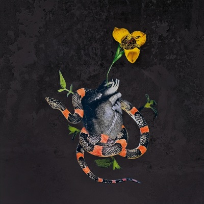 Flor de un Día - Single