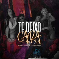 Te Deixo Cara (feat. 2050) - Single - Mineirin, DU'L & BG
