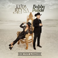 Que Voy a Hacer (feat. Bobby Pulido) - Single - Elida Reyna Y Avante