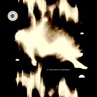 Genesis - Single - Stephen Curtis