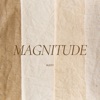 Magnitude