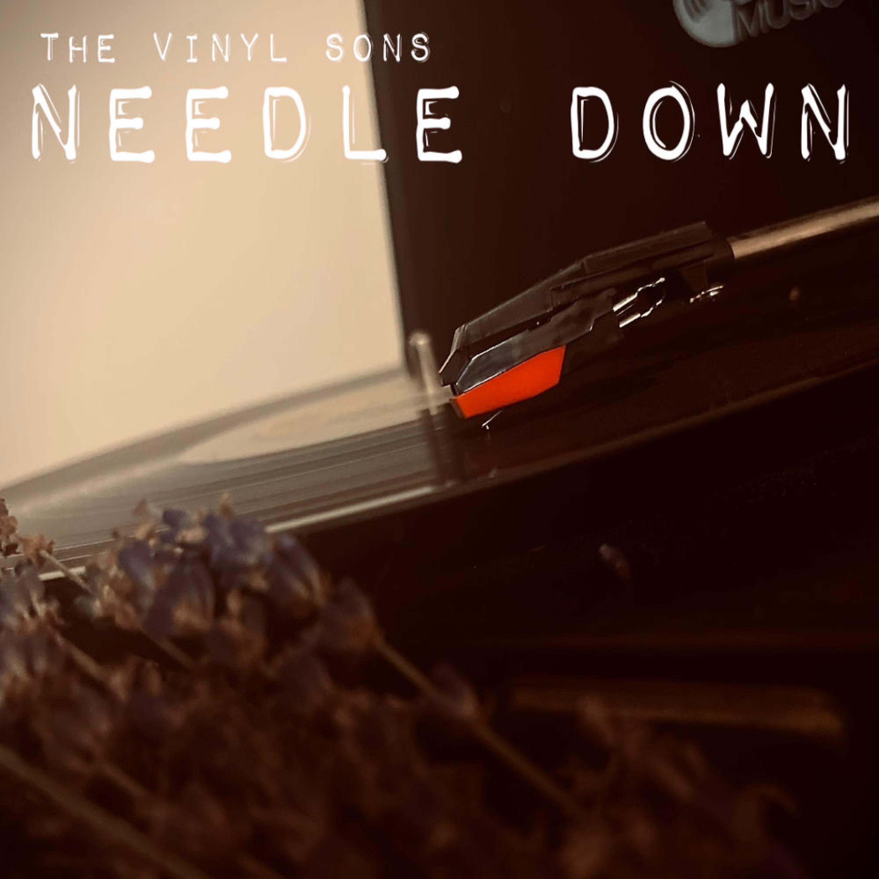 Needle Down - EP