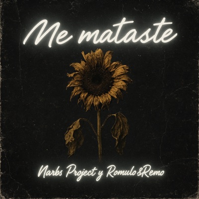 Me Mataste - Single