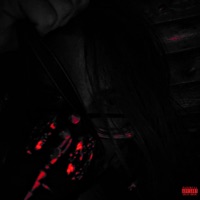 pets - Single - Lighter Centauri & squirl beats