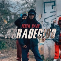 Agradecido - Single - Perfil Bajo