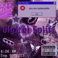 DIGITAL SPLIFF</3 - 406wolfe