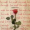 Found It - Yarden Iman lyrics