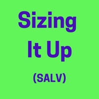 Sizing It Up (SALV) [feat. Salv] - The Happy Somethings
