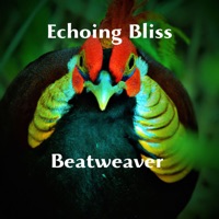 Echoing Bliss - Single - Beatweaver