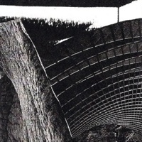 the ninja / the architect - Single - rubyred