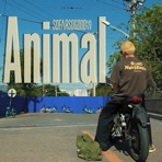Animal - Single