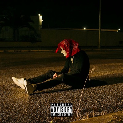 Mio fratello non c'è (feat. LB GANG) - Single
