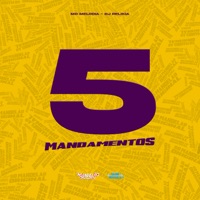 5 Mandamentos - Single - MD MELODIA & DJ Relikia