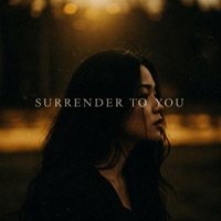 Surrender to You - Single - Kiralee & danxkim