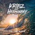 on the wave